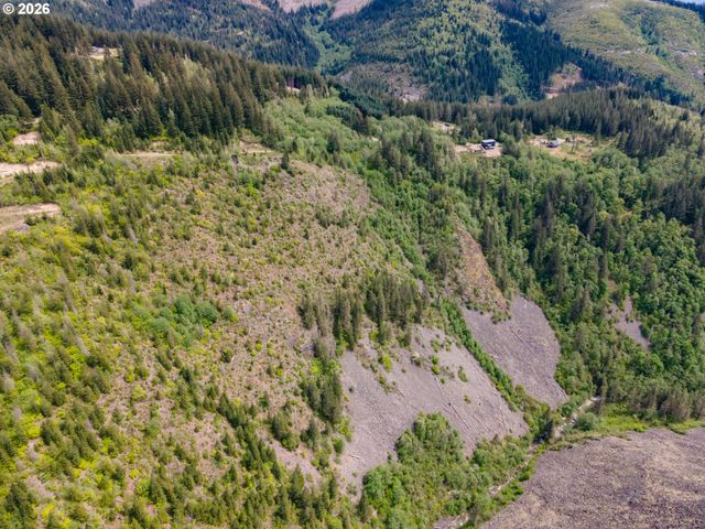 Snag Mountain Rd, Washougal, WA 98671