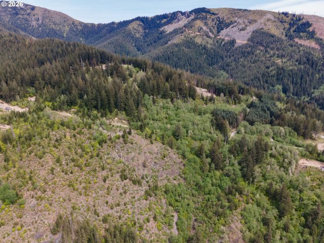 Snag Mountain Rd, Washougal, WA 98671