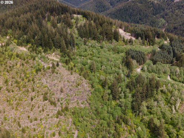 Snag Mountain Rd, Washougal, WA 98671