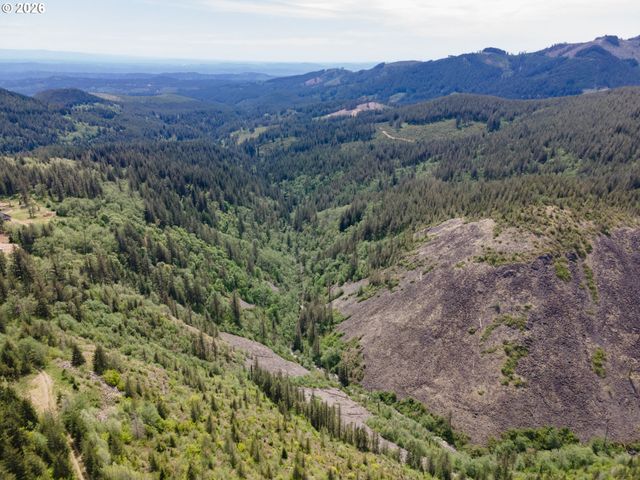Snag Mountain Rd, Washougal, WA 98671