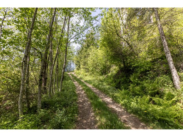 Snag Mountain Rd, Washougal, WA 98671