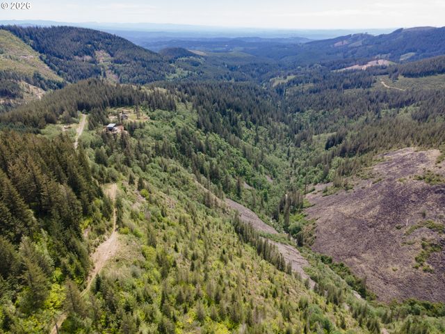 Snag Mountain Rd, Washougal, WA 98671