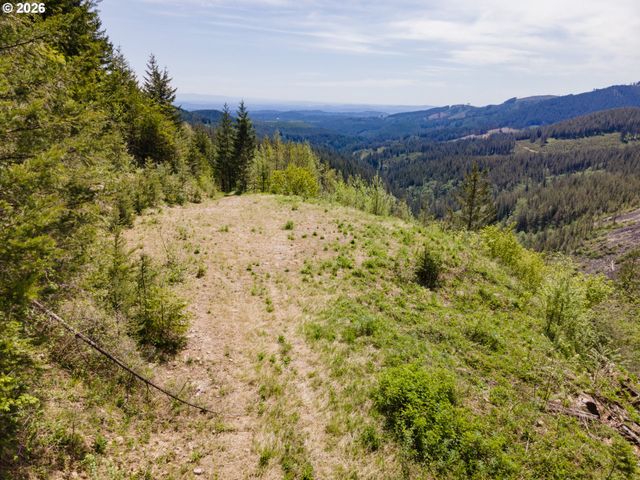 Snag Mountain Rd, Washougal, WA 98671