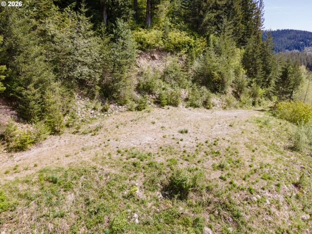 Snag Mountain Rd, Washougal, WA 98671