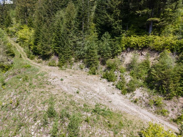 Snag Mountain Rd, Washougal, WA 98671