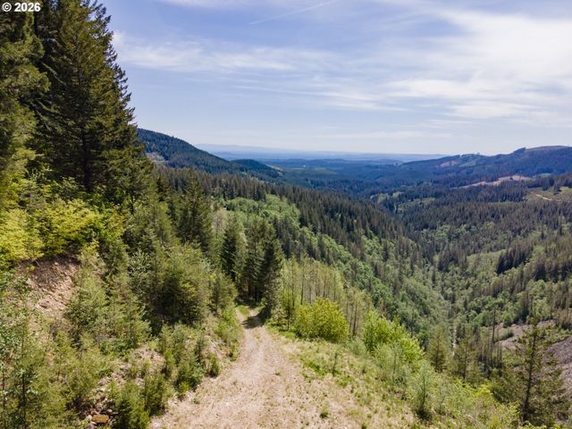 Snag Mountain Rd, Washougal, WA 98671