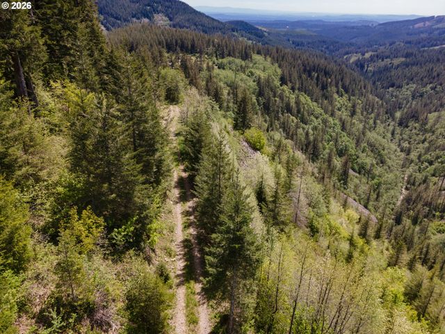 Snag Mountain Rd, Washougal, WA 98671