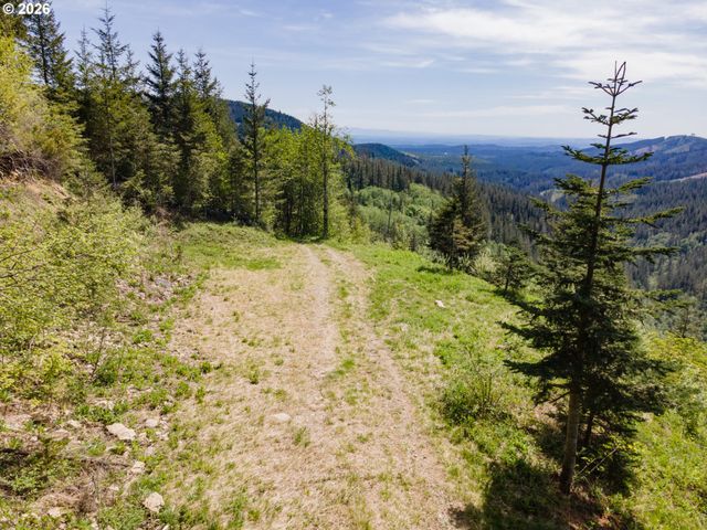 Snag Mountain Rd, Washougal, WA 98671