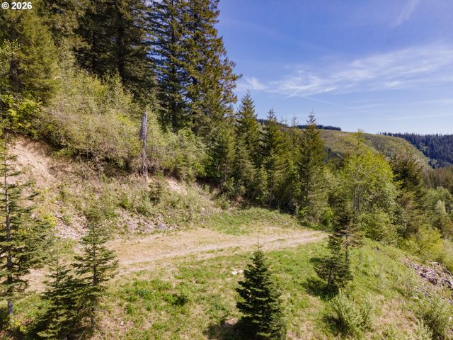 Snag Mountain Rd, Washougal, WA 98671
