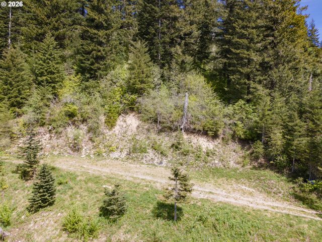 Snag Mountain Rd, Washougal, WA 98671