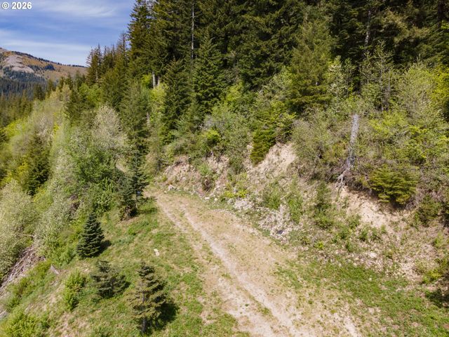 Snag Mountain Rd, Washougal, WA 98671