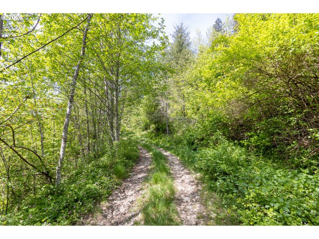 Snag Mountain Rd, Washougal, WA 98671