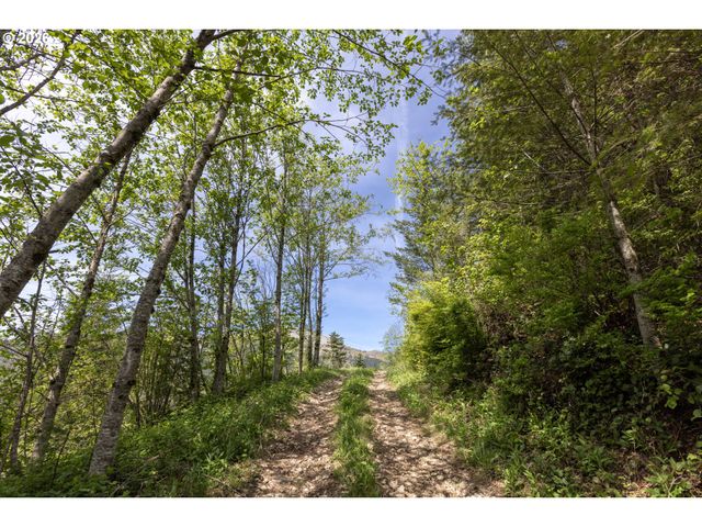 Snag Mountain Rd, Washougal, WA 98671