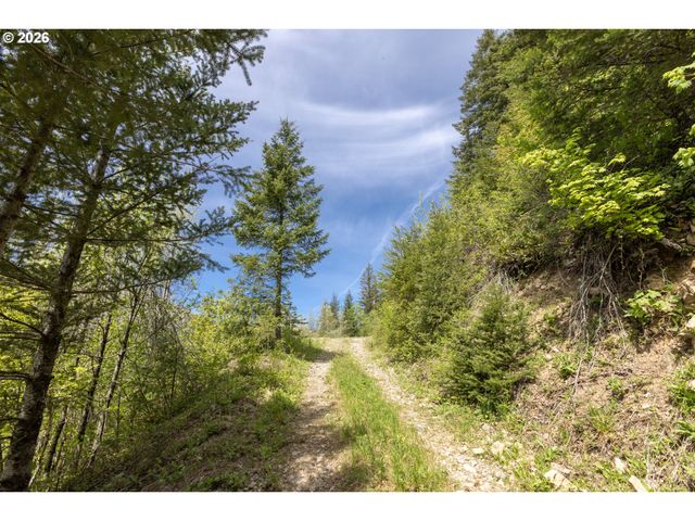 Snag Mountain Rd, Washougal, WA 98671