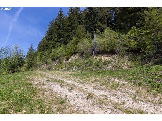 Snag Mountain Rd, Washougal, WA 98671