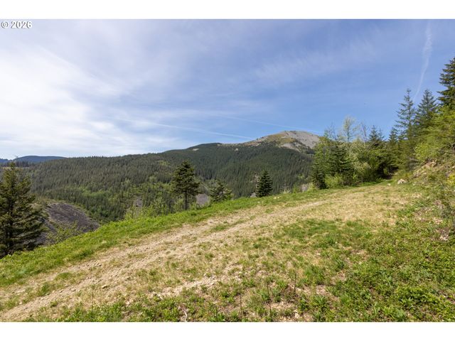 Snag Mountain Rd, Washougal, WA 98671