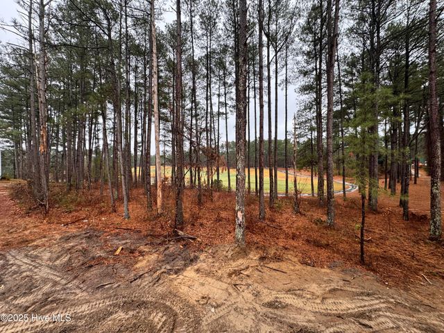 432 Redwater Trail 595, Aberdeen, NC 28315