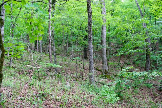 500 County Road 241, Eureka Springs, AR 72632