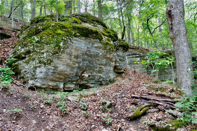 500 County Road 241, Eureka Springs, AR 72632