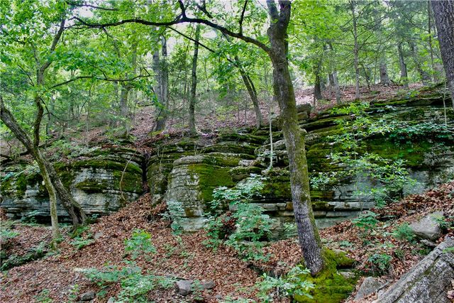 500 County Road 241, Eureka Springs, AR 72632