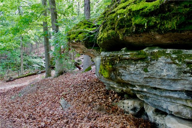 500 County Road 241, Eureka Springs, AR 72632