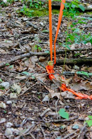 500 County Road 241, Eureka Springs, AR 72632