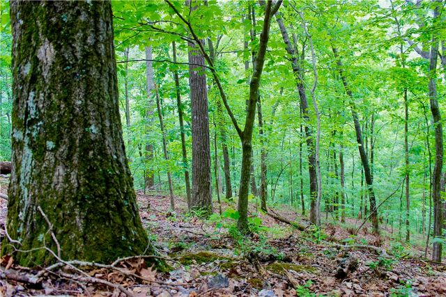 500 County Road 241, Eureka Springs, AR 72632