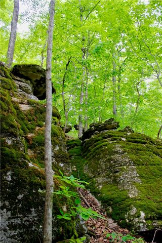 500 County Road 241, Eureka Springs, AR 72632