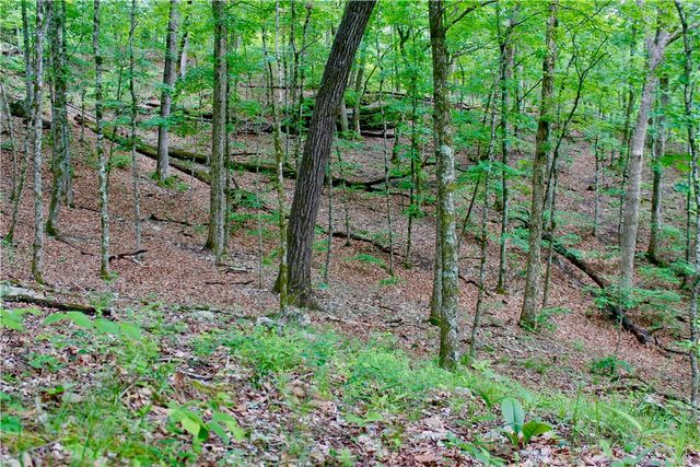 500 County Road 241, Eureka Springs, AR 72632