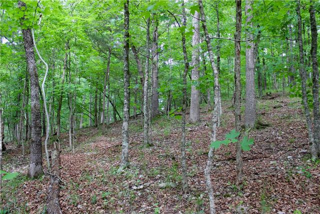500 County Road 241, Eureka Springs, AR 72632