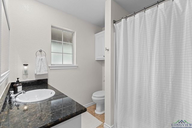 16691 S Lakeview Dr., Troup, TX 75789