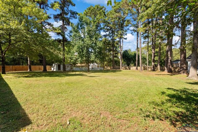 16691 S Lakeview Dr., Troup, TX 75789