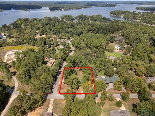 16691 S Lakeview Dr., Troup, TX 75789