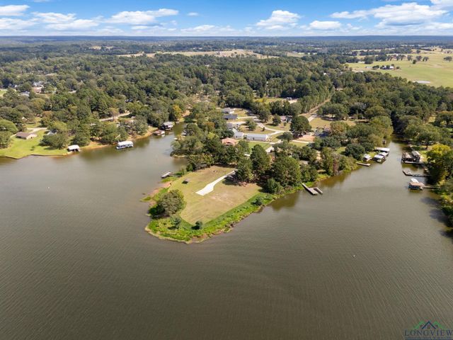 16691 S Lakeview Dr., Troup, TX 75789