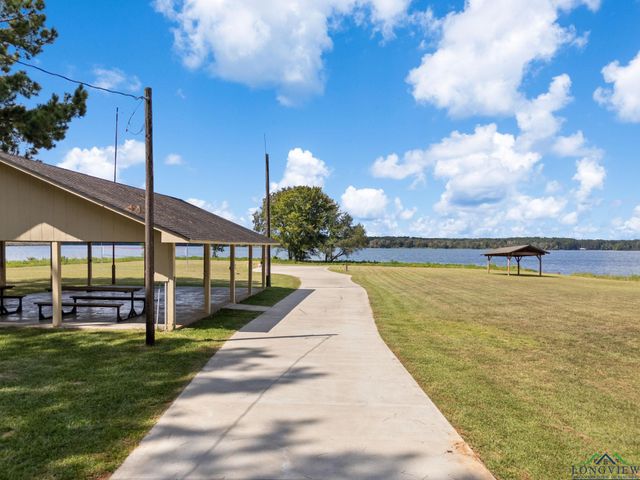 16691 S Lakeview Dr., Troup, TX 75789