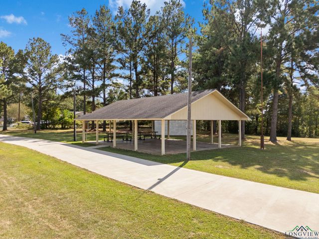 16691 S Lakeview Dr., Troup, TX 75789