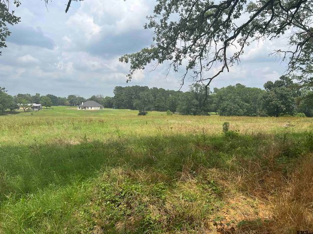 Lot 7 FM 315, Chandler, TX 75758