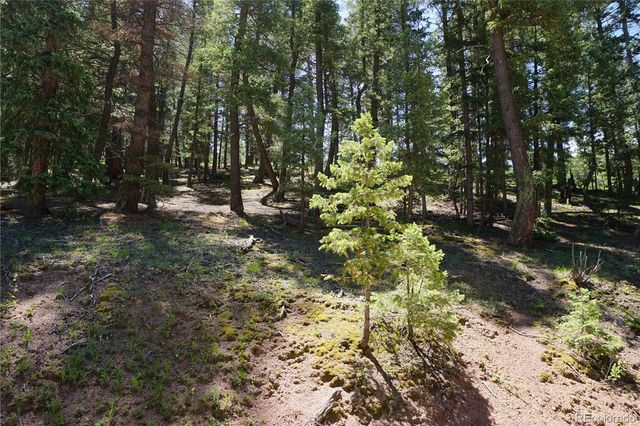 1000 Bennett, Cripple Creek, CO 80813