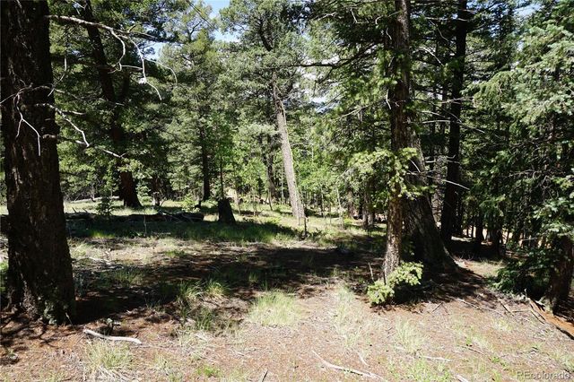 1000 Bennett, Cripple Creek, CO 80813