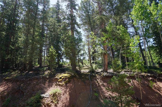 1000 Bennett, Cripple Creek, CO 80813