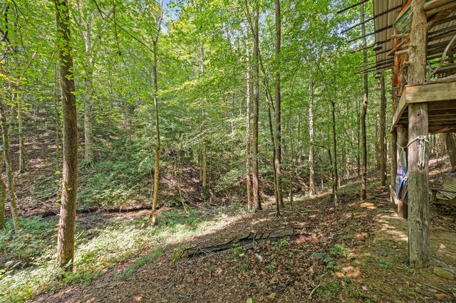 225 Richardson Ln, Gainesboro, TN 38562