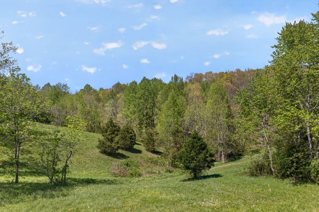225 Richardson Ln, Gainesboro, TN 38562