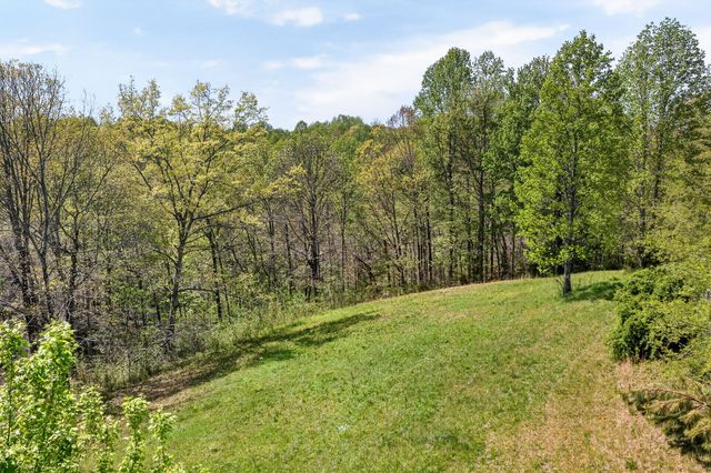 225 Richardson Ln, Gainesboro, TN 38562