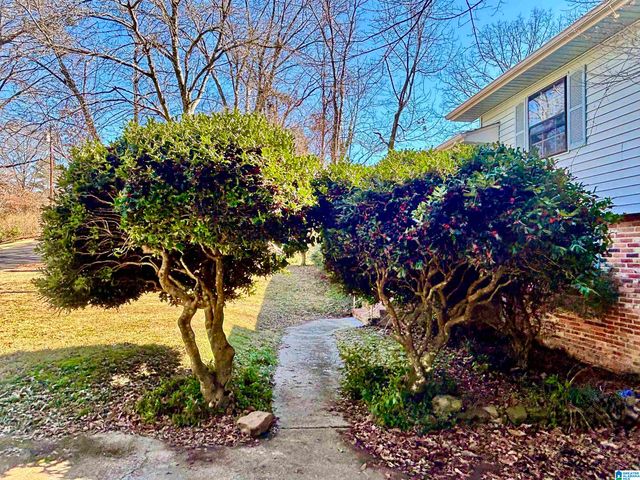 525 27TH AVENUE, Center Point, AL 35215
