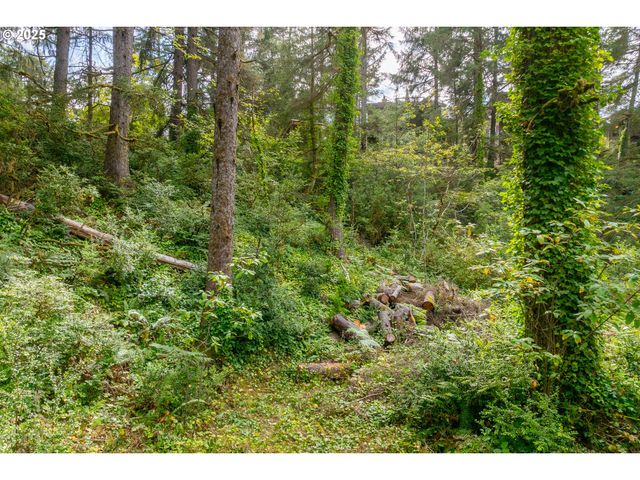 TL 1503 Cherry St, Manzanita, OR 97130