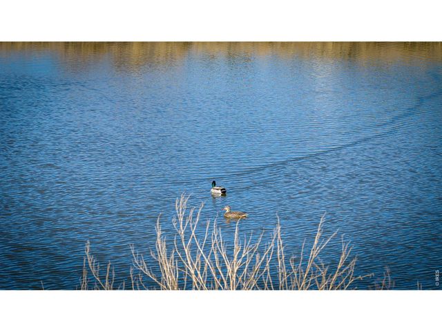 5111 E County Road 62, Wellington, CO 80549