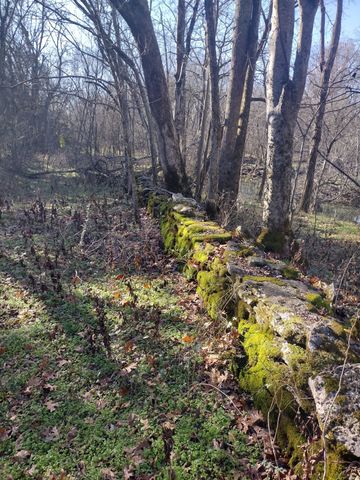 980 Baldy Ford Road, Lascassas, TN 37085