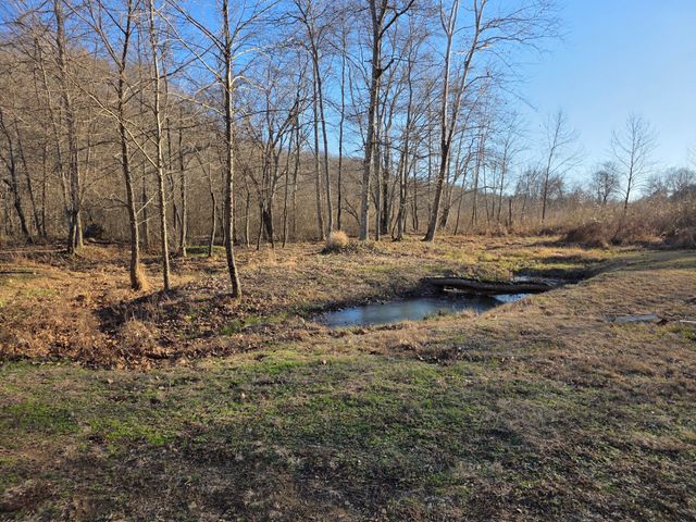 230 Lowery Cemetery Rd, Cumberland City, TN 37050