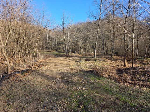 230 Lowery Cemetery Rd, Cumberland City, TN 37050