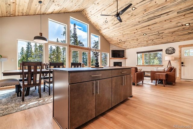 526 Porcupine Road, Fairplay, CO 80440